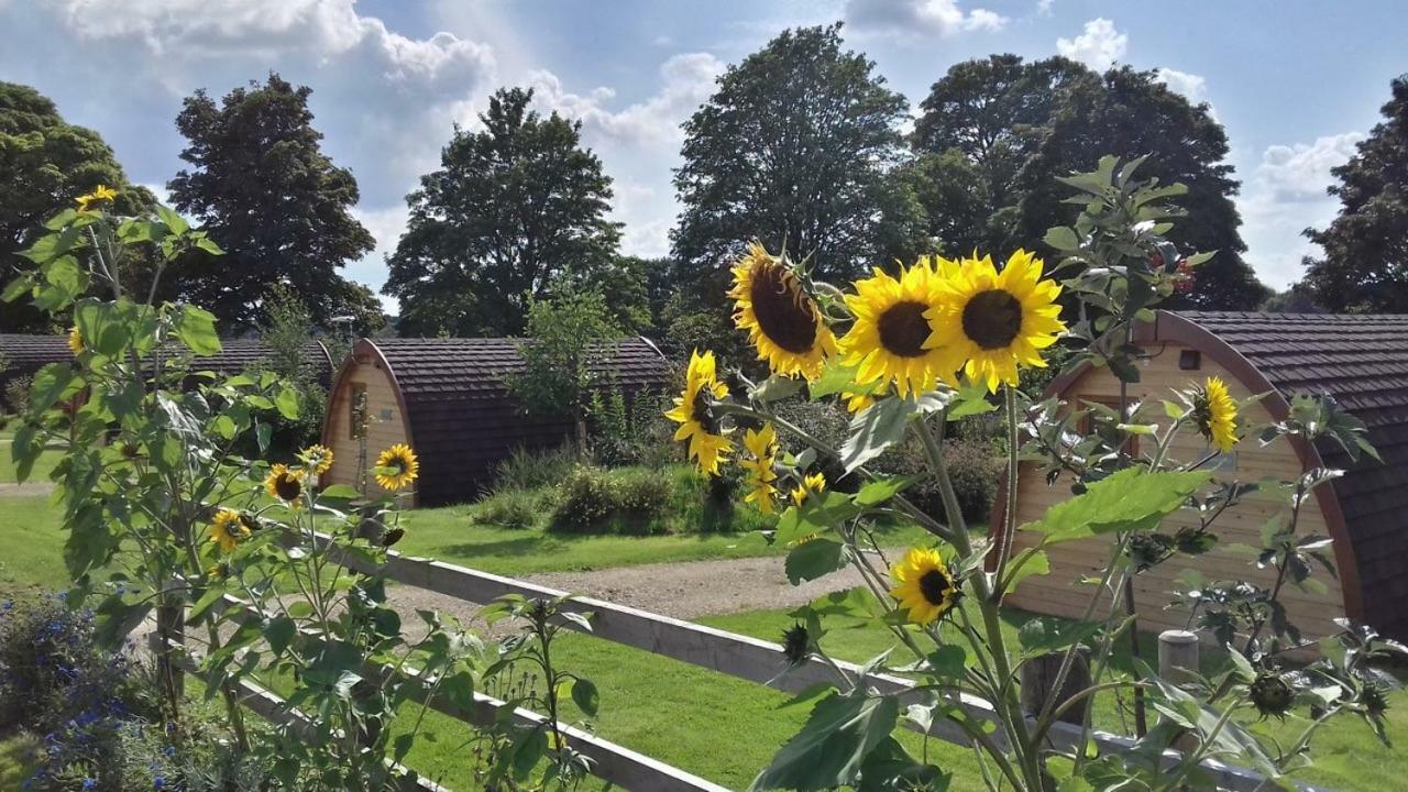 Mallow Glamping Pod Cheltenham Exterior foto